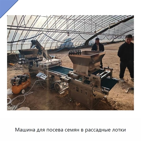Машина для посева семян в рассадные лотки