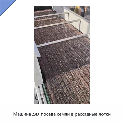 Машина для посева семян в рассадные лотки