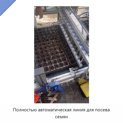 Полностью автоматическая линия для посева семян
