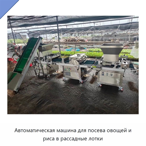 Автоматическая машина для посева овощей и риса в рассадные лотки
