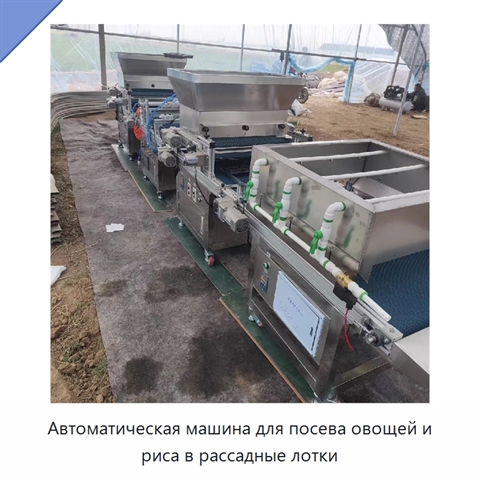 Автоматическая машина для посева овощей и риса в рассадные лотки