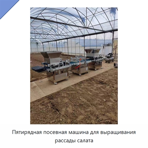 Пятирядная посевная машина для выращивания рассады салата