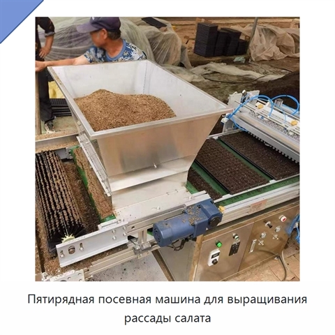 Пятирядная посевная машина для выращивания рассады салата