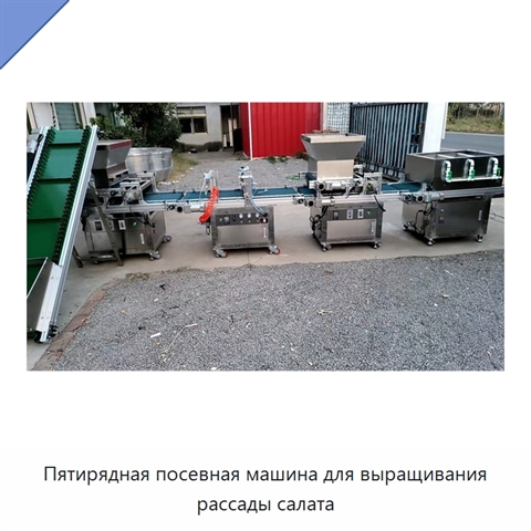 Пятирядная посевная машина для выращивания рассады салата