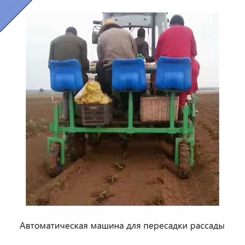 Автоматическая машина для пересадки рассады