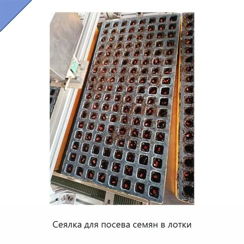 Сеялка для посева семян в лотки