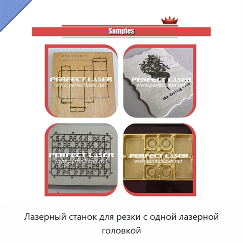 Лазерный станок для резки с одной лазерной головкой