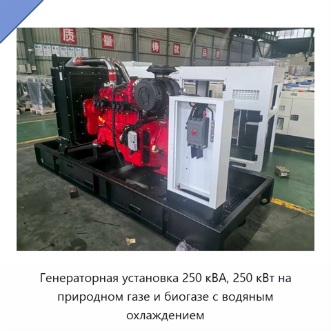 Генераторная установка 250 кВА, 250 кВт на природном газе и биогазе с водяным охлаждением