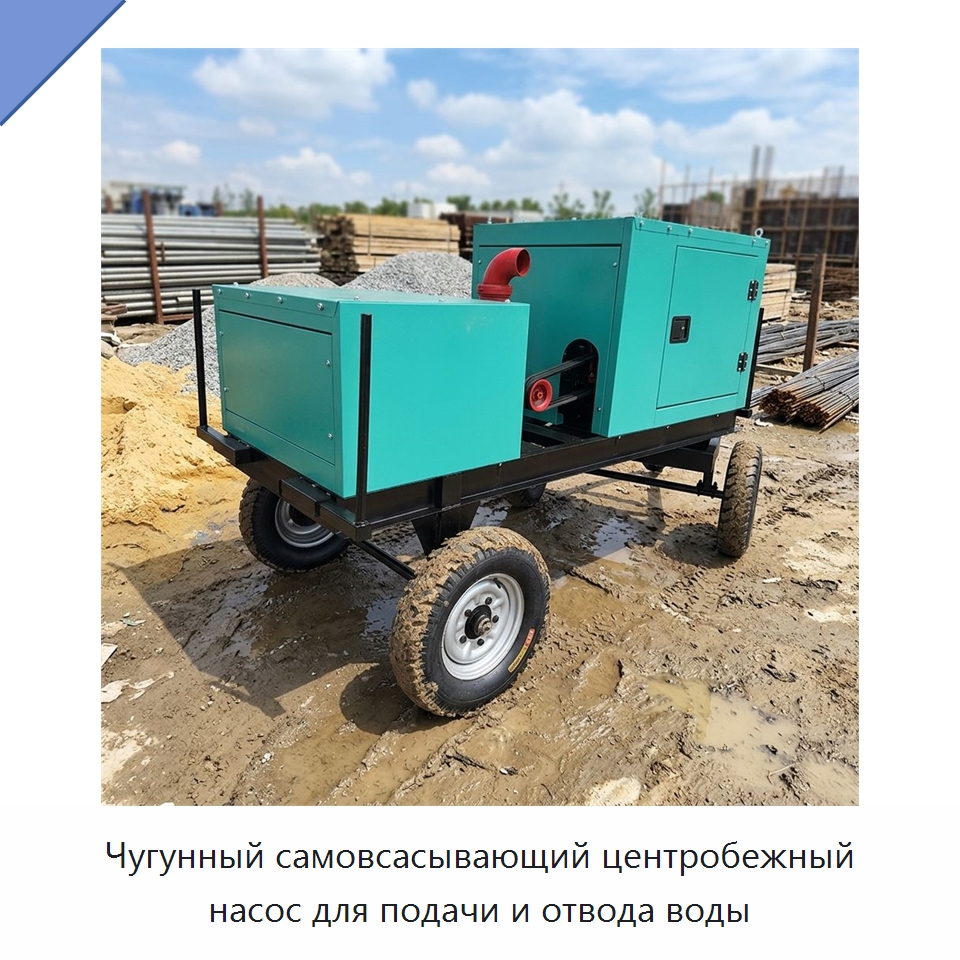 Чугунный самовсасывающий центробежный насос для подачи и отвода воды — Насосы