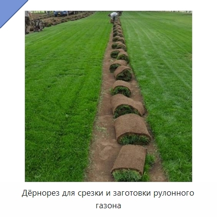 Дёрнорез для срезки и заготовки рулонного газона