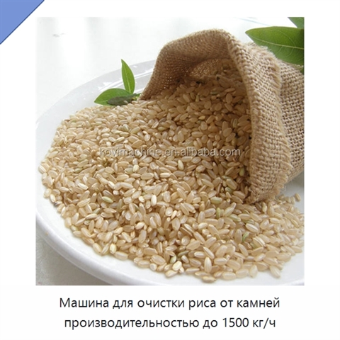 Машина для очистки риса от камней производительностью до 1500 кг/ч