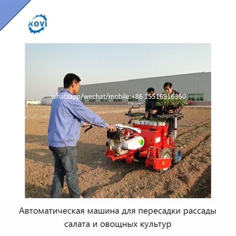 Автоматическая машина для пересадки рассады салата и овощных культур