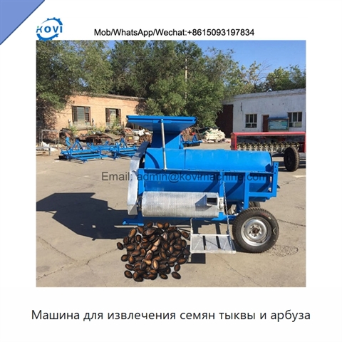 Машина для извлечения семян тыквы и арбуза