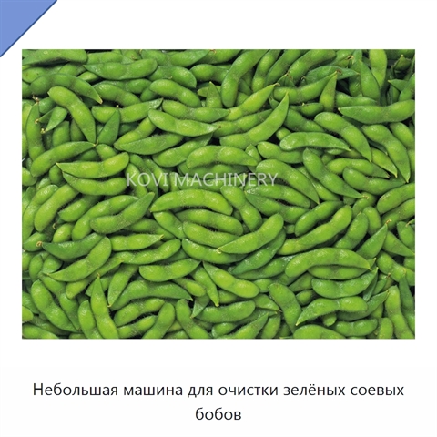 Небольшая машина для очистки зелёных соевых бобов
