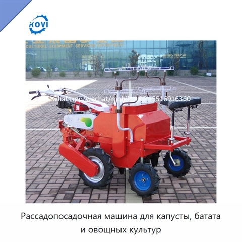 Рассадопосадочная машина для капусты, батата и овощных культур