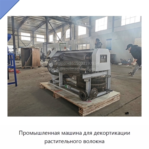 Промышленная машина для декортикации растительного волокна