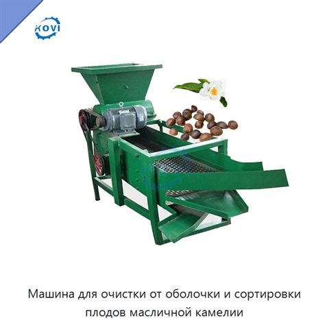 Машина для очистки от оболочки и сортировки плодов масличной камелии