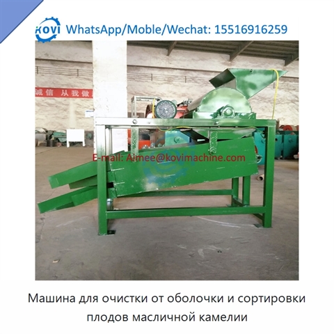 Машина для очистки от оболочки и сортировки плодов масличной камелии