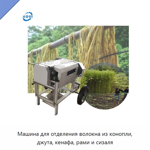 Машина для отделения волокна из конопли, джута, кенафа, рами и сизаля