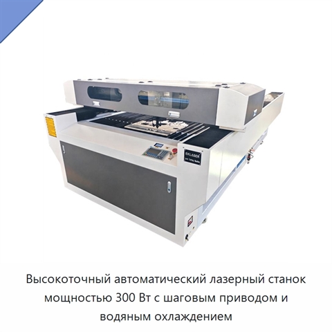 Высокоточный автоматический лазерный станок мощностью 300 Вт с шаговым приводом и водяным охлаждением
