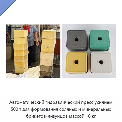 Автоматический гидравлический пресс усилием 500 т для формования соляных и минеральных брикетов-лизунцов массой 10 кг