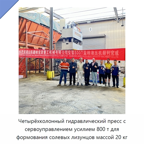 Четырёхколонный гидравлический пресс с сервоуправлением усилием 800 т для формования солевых лизунцов массой 20 кг