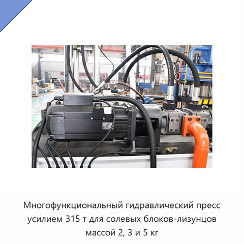 Многофункциональный гидравлический пресс усилием 315 т для солевых блоков-лизунцов массой 2, 3 и 5 кг