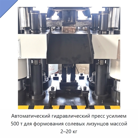 Автоматический гидравлический пресс усилием 500 т для формования солевых лизунцов массой 2–20 кг