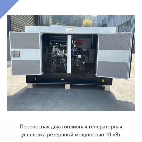 Переносная двухтопливная генераторная установка резервной мощностью 10 кВт
