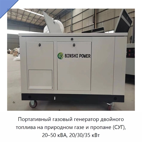 Портативный газовый генератор двойного топлива на природном газе и пропане (СУГ), 20–50 кВА, 20/30/35 кВт