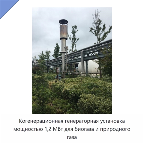 Когенерационная генераторная установка мощностью 1,2 МВт для биогаза и природного газа