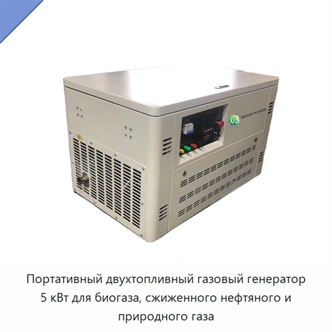 Портативный двухтопливный газовый генератор 5 кВт для биогаза, сжиженного нефтяного и природного газа
