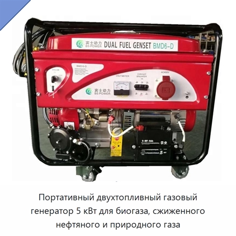 Портативный двухтопливный газовый генератор 5 кВт для биогаза, сжиженного нефтяного и природного газа