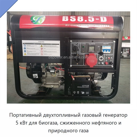 Портативный двухтопливный газовый генератор 5 кВт для биогаза, сжиженного нефтяного и природного газа