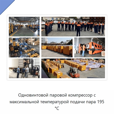Одновинтовой паровой компрессор с максимальной температурой подачи пара 195 °C