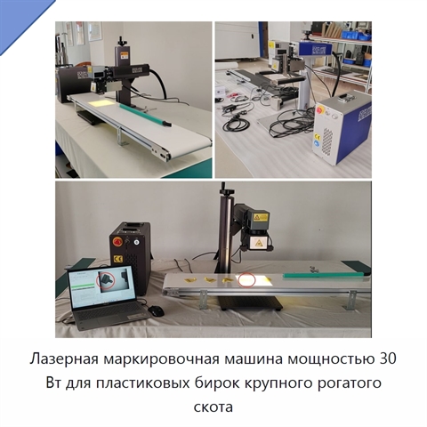 Лазерная маркировочная машина мощностью 30 Вт для пластиковых бирок крупного рогатого скота