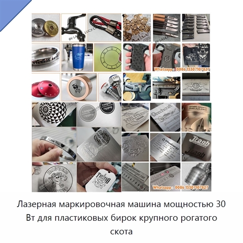 Лазерная маркировочная машина мощностью 30 Вт для пластиковых бирок крупного рогатого скота