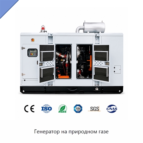 Генератор на природном газе