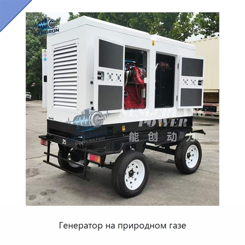 Генератор на природном газе
