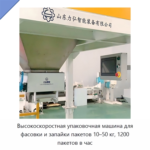 Высокоскоростная упаковочная машина для фасовки и запайки пакетов 10–50 кг, 1200 пакетов в час