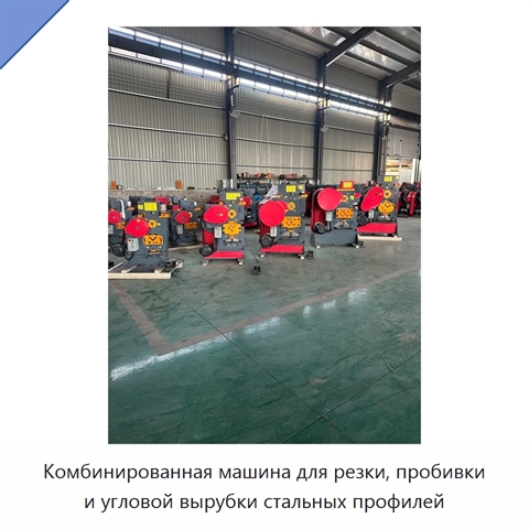 Комбинированная машина для резки, пробивки и угловой вырубки стальных профилей