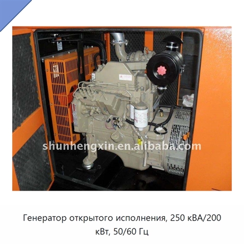 Генератор открытого исполнения, 250 кВА/200 кВт, 50/60 Гц