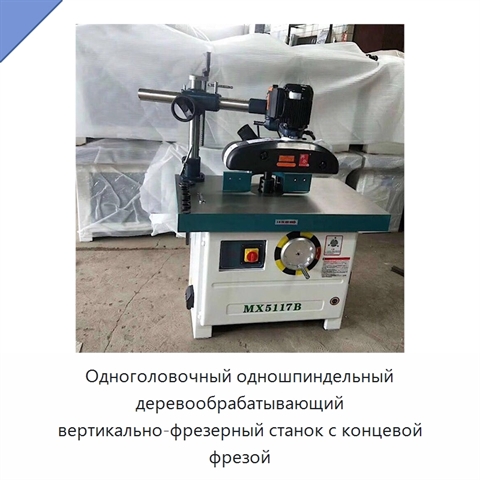 Одноголовочный одношпиндельный деревообрабатывающий вертикально-фрезерный станок с концевой фрезой