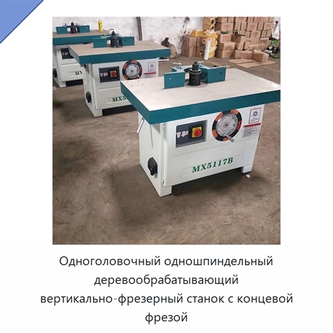 Одноголовочный одношпиндельный деревообрабатывающий вертикально-фрезерный станок с концевой фрезой