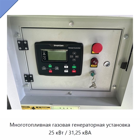 Многотопливная газовая генераторная установка 25 кВт / 31,25 кВА