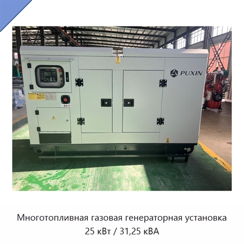 Многотопливная газовая генераторная установка 25 кВт / 31,25 кВА