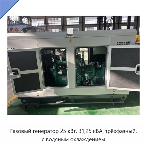 Газовый генератор 25 кВт, 31,25 кВА, трёхфазный, с водяным охлаждением