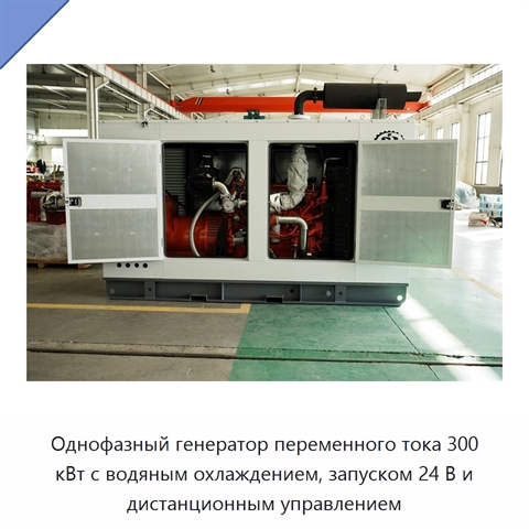 Однофазный генератор переменного тока 300 кВт с водяным охлаждением, запуском 24 В и дистанционным управлением