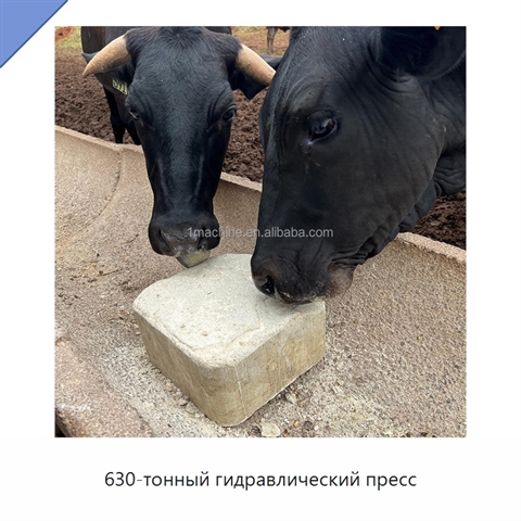 630-тонный гидравлический пресс