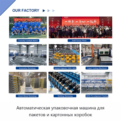 Автоматическая упаковочная машина для пакетов и картонных коробок